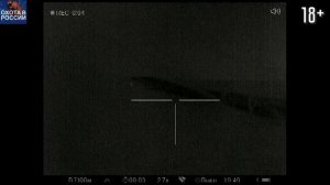 Уничтожил логово гигантского волка. 100 хищников ночной охоты.