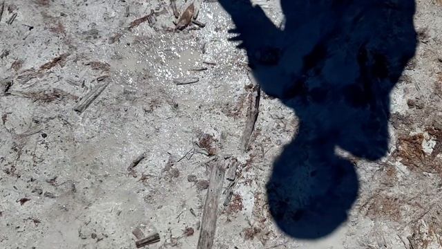 La Caldara di Manziana e i geyser che rievocano l'Islanda смотреть онлайн