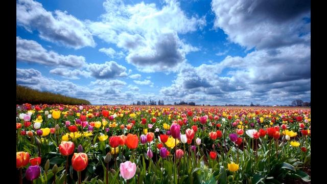 Буддистский клип смотреть онлайн