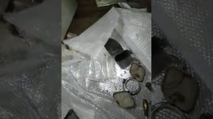 Шноркель и соБоль часть 2