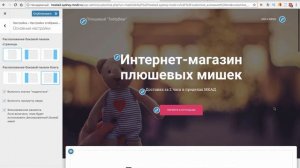 КАК СОЗДАТЬ ИНТЕРНЕТ-МАГАЗИН За 1 день на Wordpress?