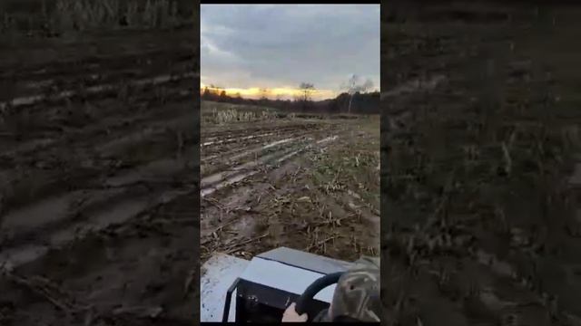 Вездеход каракат Караван на службе у егерей смотреть онлайн