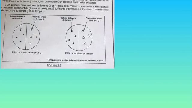 Comment faire : analyse, interprétation, comparaison à partir des documents de SVT смотреть онлайн