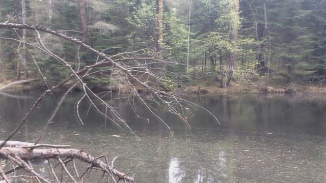По Нейве смотреть онлайн