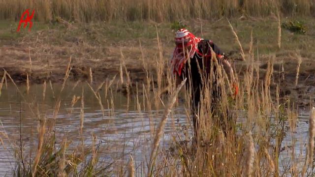 #ХРЯЩЕВКА Challenge 27.09.2014 Togliatty смотреть онлайн