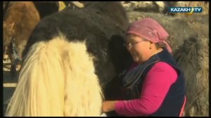 Aghain - Казахи в Монголии-1