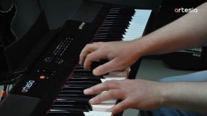 Цифровое пианино Artesia Performer (88 клавиш)