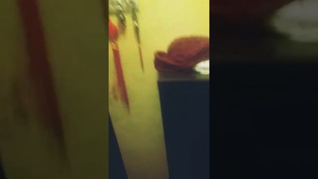 вот таким девушкам нужно дарить айфон смотреть онлайн