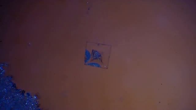 Кристаллизация соли под микроскопом смотреть онлайн