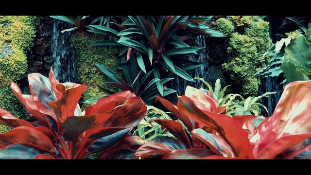 Asia - SINGAPORE (Iphone 7 plus, DJI mavic pro) смотреть онлайн