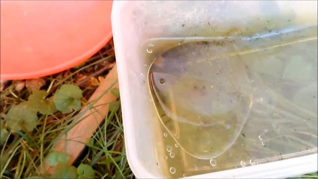 Стройка Вдохновение