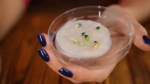 Питательные растворы StimGarden | Современные ускоренные способы выращивания