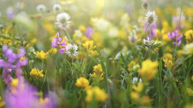 МАМЕ смотреть онлайн