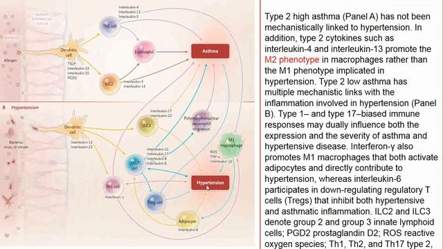 Charité Clinical Journal Club (English) by Fred Luft - 18.09.2019 смотреть онлайн