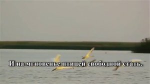 Свободная птица  Караоке