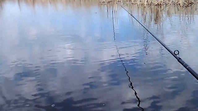 Рыбалка на Волге в начале мая. смотреть онлайн