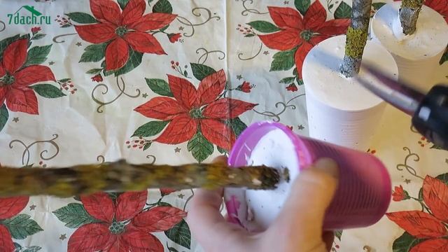 Новогодний топиарий - 7 дач смотреть онлайн