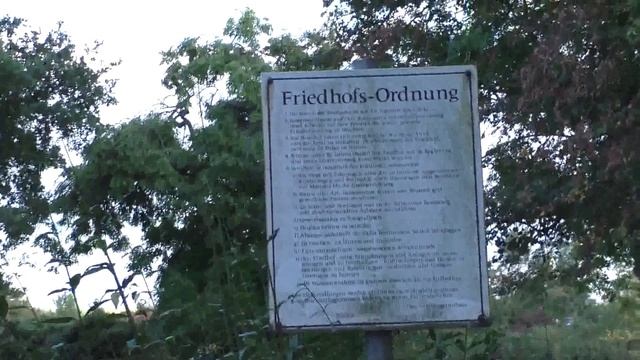 Германия. Влог : Собираем жёлуди / Урожай / Осенние декорации... смотреть онлайн