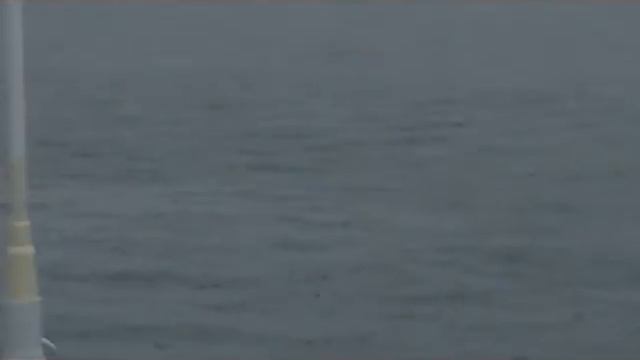 Leaping Mobula Rays at Bahia Frailes смотреть онлайн