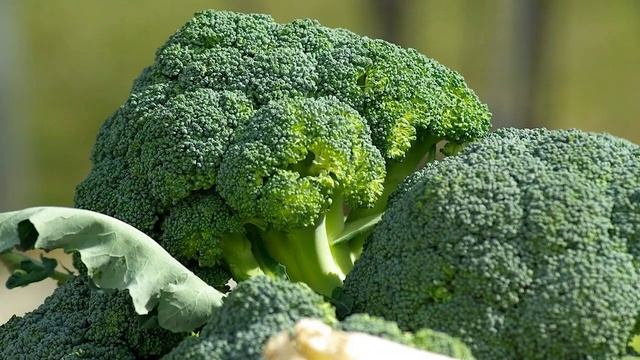 ЧТО БУДЕТ, ЕСЛИ ЕСТЬ БРОККОЛИ КАЖДЫЙ ДЕНЬ смотреть онлайн