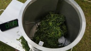 7 Станок для скручивания листьев иван чая. Порция 3 кг. Роллер отечественный!