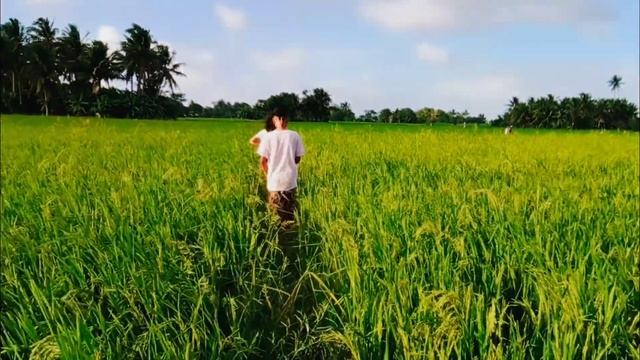 Walking Around Rice field I Agtang Kaslag смотреть онлайн