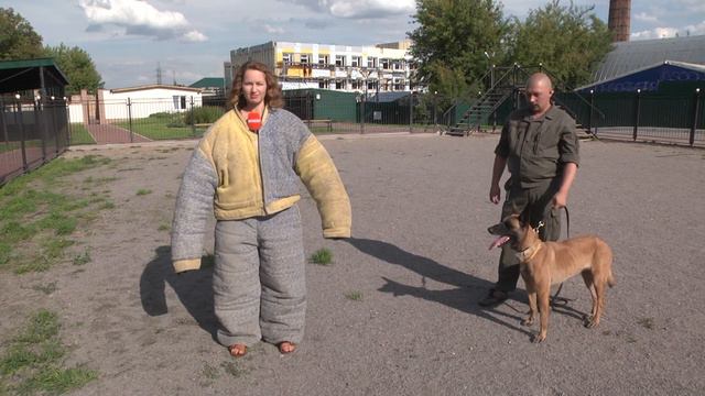 Угар.Смотреть до конца.Овчарка атакует "пингвина". смотреть онлайн