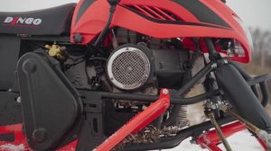 Снегоход Ирбис Динго Т150. Самый бюджетный Российский снегоход | обзор снегохода Dingo T150