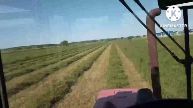 Семиреченская люцерна второй укос. Косилка Pöttinger, трактор МТЗ 82.1 турбо. смотреть онлайн