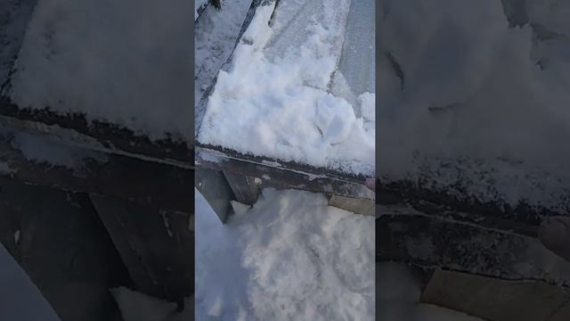 купил нутрий для 3 семьи смотреть онлайн