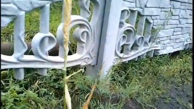 Картофель и биогумус