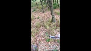 Охота. СУМАСШЕДШИЙ выстрел из арбалета.