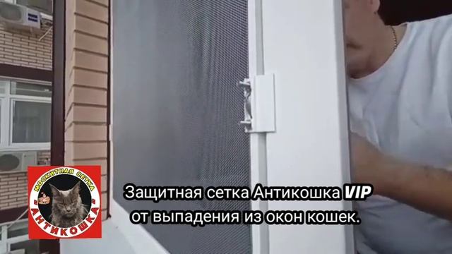 Изготовление и установка защитных сеток от выпадения из окон кошек. #антикошка #кошки #краснодар смотреть онлайн
