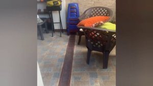 Юмор,приколы,испуг5