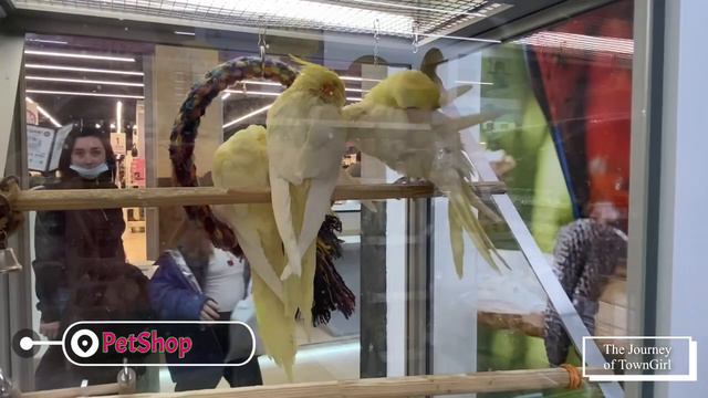 Bethowen Petshop/Бетховен ЗООМАГАЗИН #petshop #ЗООМАГАЗИН #Бетховен #moscow The Journey Of TownGirl