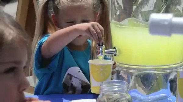 Lemonaide stand fundraiser for World Wildlife Fund polar bears