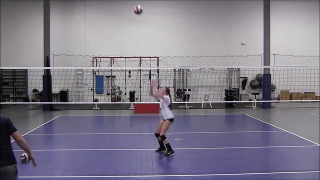 Becky Porter, 2015 Setter, Charlotte, NC смотреть онлайн
