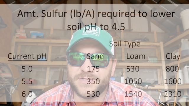 AMMONIUM SULFATE - BEST NITROGEN FOR LAWNS? ALL ABOUT AMMONIUM SULFATE смотреть онлайн