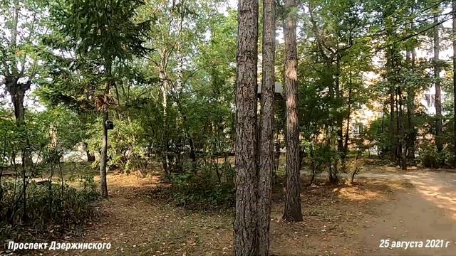 Нижний Тагил Проспект Дзержинского август 2021 смотреть онлайн