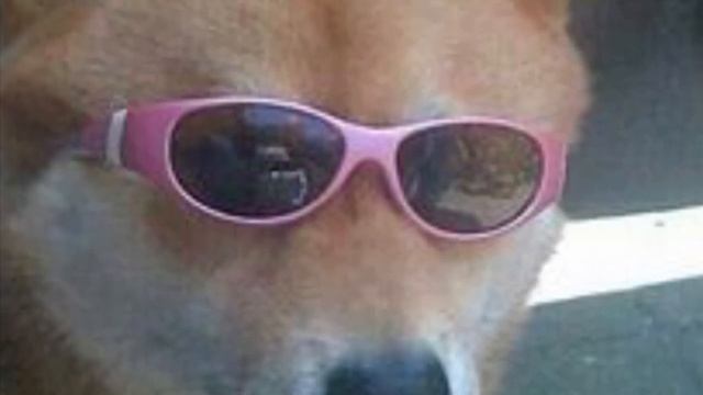 My New roblox Audio intro смотреть онлайн