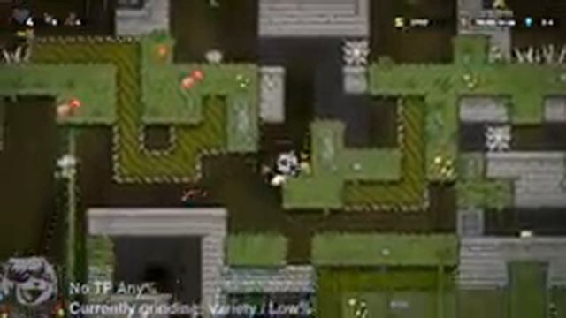 Spelunky 2 Speedrunning Session #9 (Variety Runs / Chainlow) смотреть онлайн