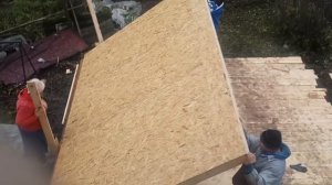 Курятник из OSB