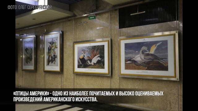 Дарвиновский музей открыл выставку о птицах на станции метро смотреть онлайн