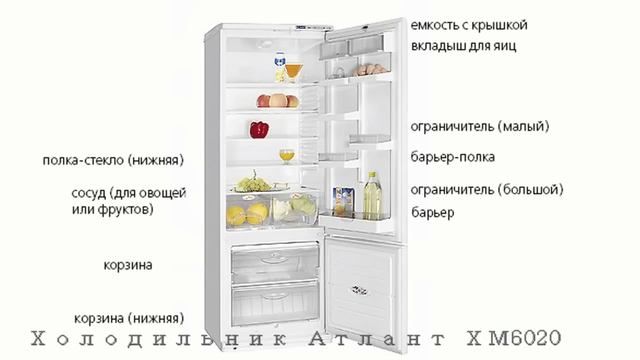 Холодильник АТЛАНТ ХМ 6020 смотреть онлайн