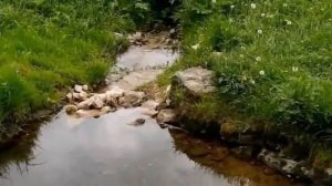 ОЙ ГОДЫ,ВЫ ГОДЫ(ЗАДУШЕВНАЯ ЖИЗНЕННАЯ ПЕСНЯ)-ГАЛИНА ГАРМОНИСТ (САМОУЧКА)