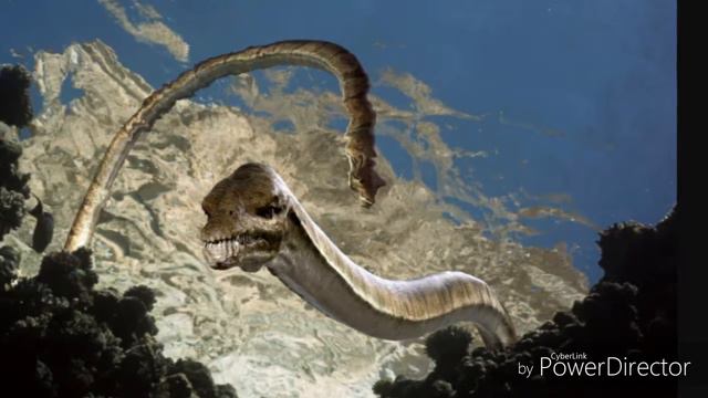 Доисторический мир смотреть онлайн