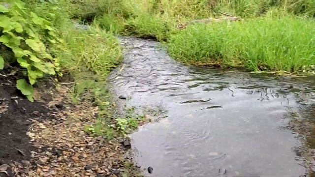Палеоизыскания на реке Йода, Ярославской обл., Рыбинского района смотреть онлайн