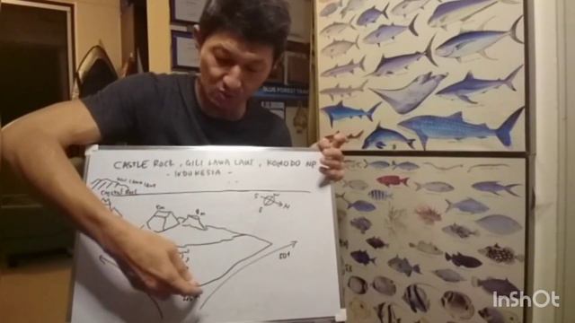 Explaining Current: Castle Rock, Komodo National Park, Indonesia смотреть онлайн