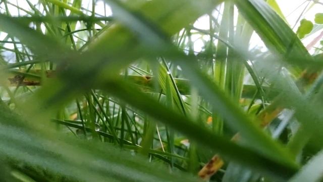 TravelBlog #4 // о поездке в Минск смотреть онлайн