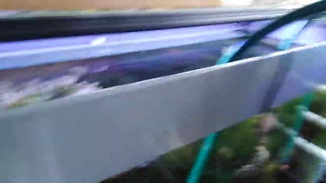 Морской аквариум, простая рабочая схема один из способов как понизить уровень содержания нитратов. смотреть онлайн